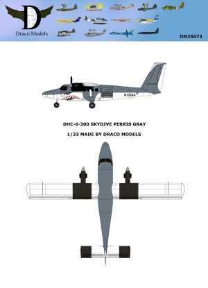 1/33 DHC-6 Perris Gray Paper Model