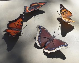 Lifelike Butterfly models: Tortoiseshells, Painted Lady, Mourning Cloak (4 species) Paper Model