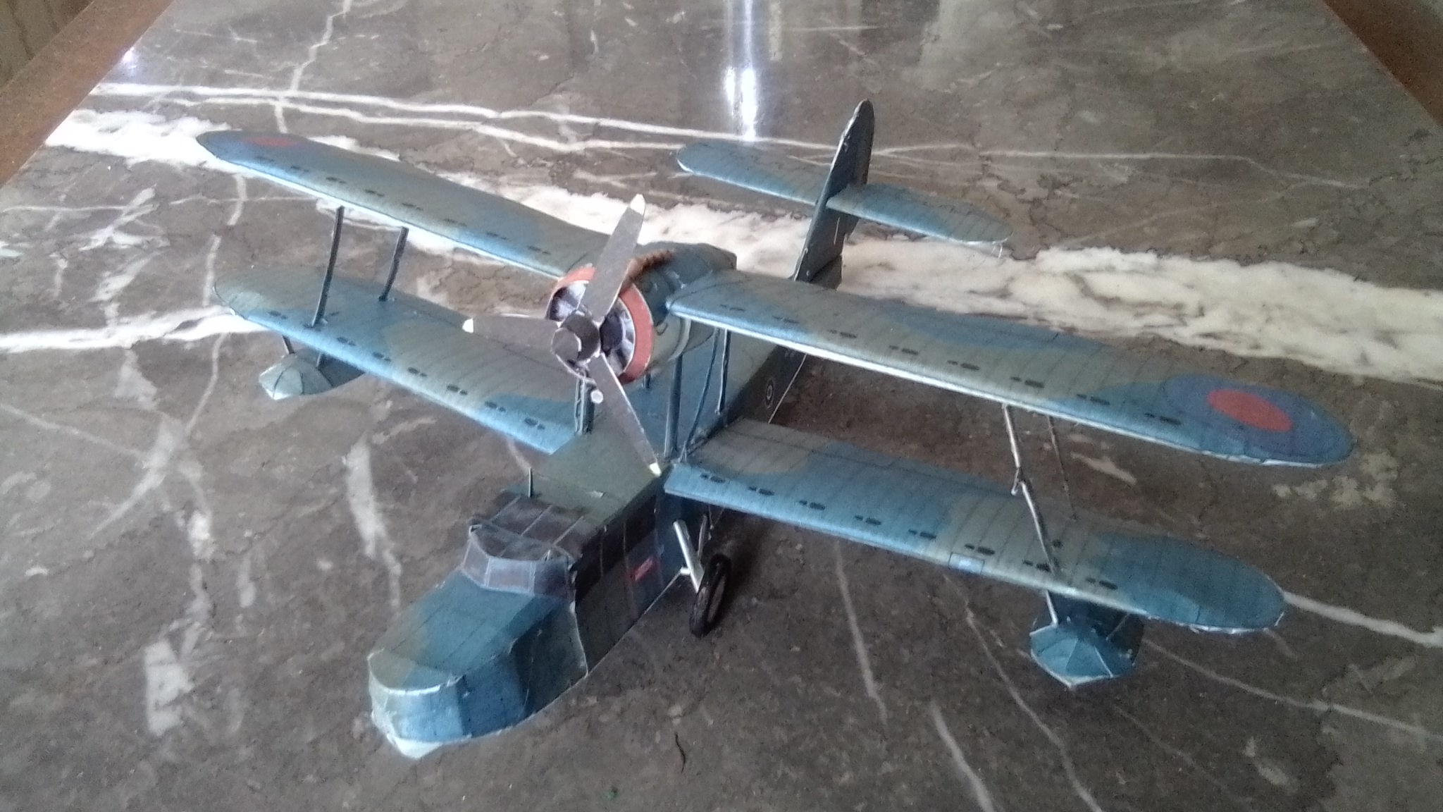 1/100 Sea Otter Neptune’s Daughter Paper Model - Image 5